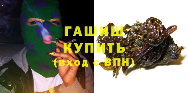 сатива Бородино
