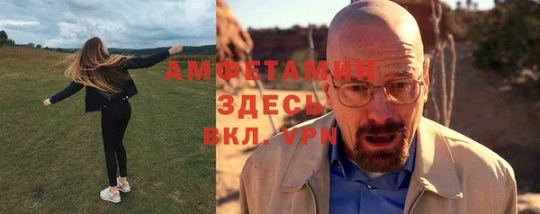 сатива Бородино