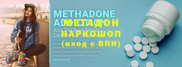 сатива Бородино