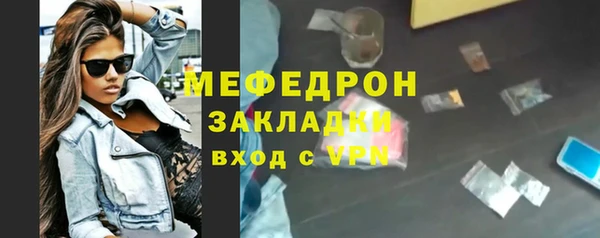 сатива Бородино
