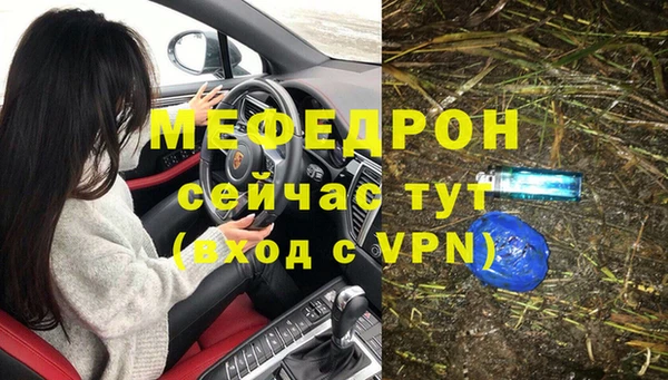 сатива Бородино