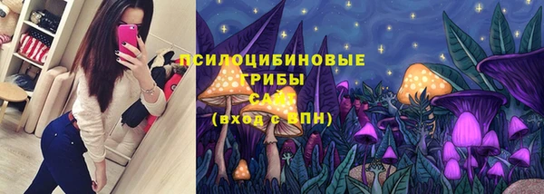 а пвп мука Бугульма