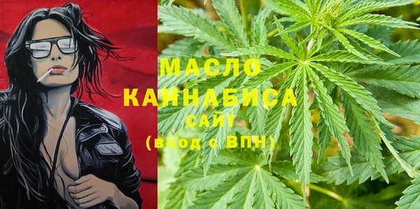 сатива Бородино