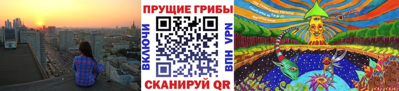 даркнет сайт  Киселёвск  Галлюциногенные грибы мицелий 